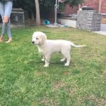 Maxie Edmonds - @maxie.edmonds - Instagram