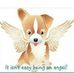 Maxine Everett - Facebook