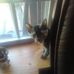 Maxine Farling - Facebook