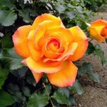 Maxine - @maxine.farmer2020 - Instagram