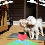 Maxine Ann Farrell - @farrellmaxine - Instagram