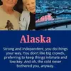 maxinefarrell701 - @maxinefarrell701 - TikTok