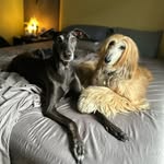 Maxine Fielding - @blondieandvinyl - Instagram