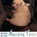 Maxine Fowler - Facebook