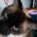 Maxine Fowler - Facebook