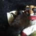Maxine Garner - Facebook