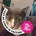 Maxine Gholson - Facebook