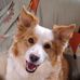 Maxine Grant - Facebook