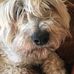 Maxine Greaves - Facebook