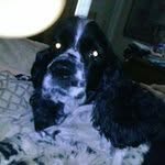 Maxine Gregory - @gregorymaxine - Instagram