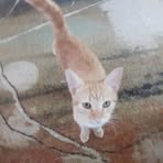 Maxine Griffith - Facebook
