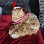 Maxine Griffiths - Facebook