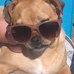 Maxine Griffiths - Facebook