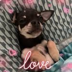 Maxine.griffiths - @maxine.griffiths.16 - Instagram