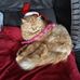 Maxine Griffiths - Facebook