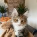 Maxine Griffiths - Facebook