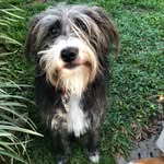 Maxine Griffiths - @maxine.griffiths.18 - Instagram