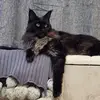 Maxine Hammond Kyle - @maxine.hammond.ky - TikTok