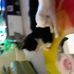 Maxine Hardman - Facebook