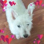 Maxine Hart - @hartmaxine - Instagram