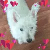 Maxine Hart - @maxine.hart7 - TikTok