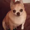 Maxine Hart - @user2190375470366 - TikTok