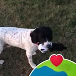 Maxine Hays - @maxinehays46 - Instagram