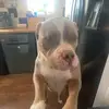 Maxie Higgins - @maxie.higgins7 - TikTok