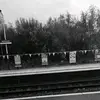 Maxie Higgins - @maxie.higgins2 - TikTok
