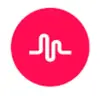 Musically_for_you - @maxinehunt1 - TikTok