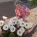 Maxine Inman - Facebook