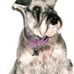 Maxine Johns - Facebook