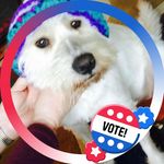 Maxine Harrison Kaplan - @maxine_harrison_kaplan - Instagram