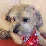 Maxine Katz - @katzmax46 - Instagram