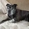 Maxine Kay - @maxine.kay - TikTok