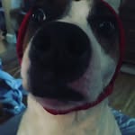 Maxine Kay Elizabeth Withers - @makup_dog - Instagram