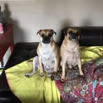 Maxine Kaye - @maxine.kaye.75 - Instagram