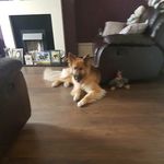 Maxine keating - @maxkeat - Instagram