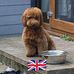 Maxine Keller - Facebook