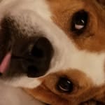 Keyo & Maxine - @keyo.maxine - Instagram
