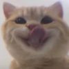 KY M - @key.maxine - TikTok
