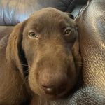 Maxine Mae Key Nobbe - @maxine_mae_key_nobbe - Instagram