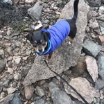 Maxine Kinney - @kinneymaxine - Instagram