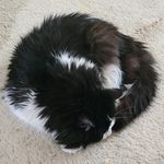 Maxine Kirkpatrick - @cloudgazer99 - Instagram