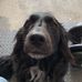 Maxine Kirkpatrick - Facebook