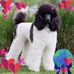 Maxine Klein - Facebook