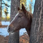 Maxine Marie Kline - @countrystrong59 - Instagram