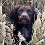 Maxine Lake - @daallsports - Instagram