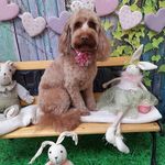 Maxine Lamb - @maxine.lamb.50 - Instagram