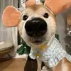 Maximo Lubowitz - @maximo.lubowitz - TikTok